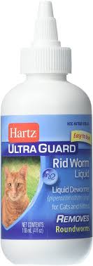 What do cat worms look like. Amazon Com Hartz Ultraguard Rid Worm Liquid For Cats Pet Digestive Remedies Pet Supplies