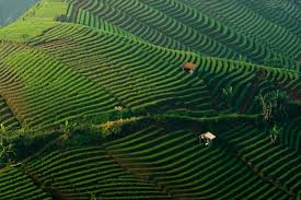 Selain Bali Ada 4 Sawah Instagramable Di Majalengka Halaman All Kompas Com