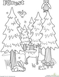 A coloring page of forest made by celine. Forest Worksheet Education Com Kindergarten Coloring Pages Forest Coloring Pages Camping Coloring Pages