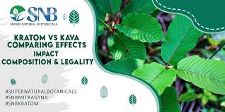 The vendor may introduce new products that you would like to test. Buy Kratom Online In Usa Today At Supernatural Botanicals