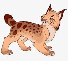 Facebook twitter tumblr pinterest linkedin reddit myspace email share. Lynx Animal Mammal Fursona Furry Feline Furry Artist Kitten Free Transparent Png Download Pngkey