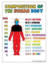 Elements In The Human Body Coloring Notes By The Stem Master Tpt Human Body Human Body