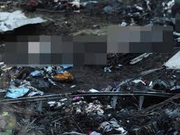 Capt vladyslav voloshyn had called the russian allegation a lie. The Horror Of Mh17 In Pictures The Advertiser