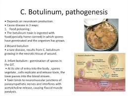 Clostridium botulinum can produce botulinum toxin in food or wounds and can cause botulism. Clostridium Perfringens Online Presentation