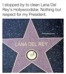 Pin By Lucy On Lana Del Bae Lana Del Rey Memes Lana Del Rey Lana Del Rey Art
