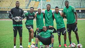 Последние твиты от super eagles (@ngsupereagles). Laval Advises Rohr To Give Murphy Oleinka And Other New Super Eagles More Playing Time In The Cameroon Friendly