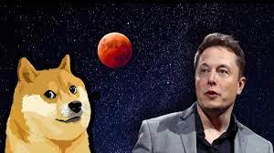 Dogecoin's appearance on snl and the aftermath musk, who is the most famous cheerleader for dogecoin on twitter, admitted in a skit on snl that he thought dogecoin was a hustle. he didn't. Elon Musk Shared Dogecoin Fell In Value Somag News