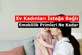 5.yaşam alanınızı düzenli aralıklarla temizleyin. 2021 Ev Kadinlari Istege Bagli Emeklilik Primleri Ne Kadar