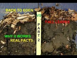 Back To Eden Organic Garden With Wood Chips Vs Leaves Composting Tour Part 2 Organic Gardening Garden Soil Fruit Trees In Containers