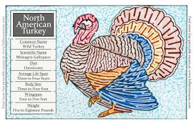 Skinny leftover turkey recipes for weight watchers. Free Printable Hand Drawn Hand Drawn North American Turkey Maze Free Printable Pdf Hilbert S Mazes