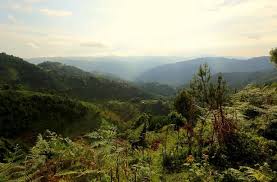 Paysage du rwanda (région de gitarama). Tuk Tuk Travels Entry 4 Rwanda Article Onestopenglish