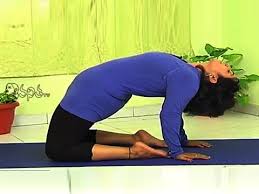 Yoga Ustrasana For Lose Belly Fat Youtube