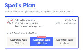 Discover which pet health insurance plans are worth it to save money on dog surgery, cat vaccinations, pet medication and more we may earn commission from links on this page, but we only recommend products we back. Pumpkin Pet Insurance Review Keeping Pets Healthy All Year Long