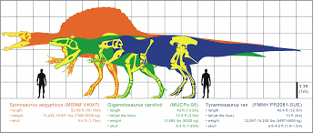 Allosaurus Vs Spinosaurus | Fandom