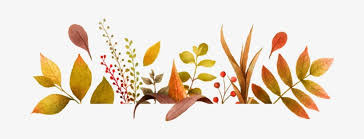 We did not find results for: Download Thanksgiving Border Png Png Image With No Background Pngkey Com