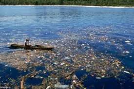 Direktur partnership wwf indonesia, ade swargo mulyo mengatakan, wwf indonesia dengan rekam jejaknya di konservasi dan pembangunan berkelanjutan memiliki perhatian besar terhadap ketersediaan dan. Destinasi Wisata Paling Tercemar Di Dunia Salah Satunya Indonesia