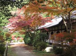 Beautiful Country Japan Wallpapers Tempel Gebaude Auf Dem Land