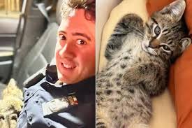 Woman Rushes Stray Cat to Vet After It's Hit by Truck. Days Later, She Gets  Unexpected Call (Exclusive)