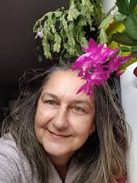 Merry Christmas from my Schlumbèrgera