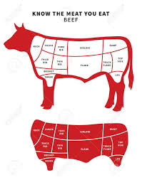Red Beef Cuts Diagram For Roast And Steak