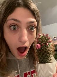 What type of succulent or cactus blooms?