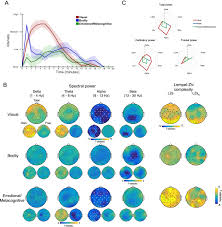 Strange visuals (small pinpoint kaleidoscope patters appear and dissappear), last for longer than the spice effects would last, by up to 25 minutes longer. Neural Correlates Of The Dmt Experience Assessed With Multivariate Eeg Scientific Reports