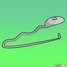 3 Manieres De Denoyauter Des Olives Wikihow