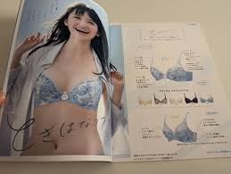 ワコール ウイング 下着カタログ 2016 Autumn 市川紗椰 - アンティーク、コレクション