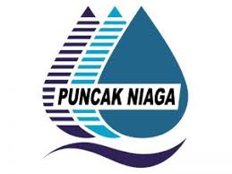 There was a net sales revenue increase of 5.79% reported in kumpulan darul ehsan. Puncak Niaga Kpsb Accept Selangor Offer Malaysia Today