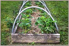 Bird netting using a net to protect grass seed from birds is another option, similar to using burlap. How To Keep Birds Out Of Your Garden
