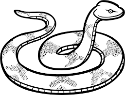 Green snake hand drawn snake snake tongue cute little snake. Snake Line Clipart Clip Art Black And White Snake Png Download Full Size Clipart 86308 Pinclipart