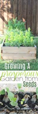 How To Grow A Prosperous Garden From Seeds Tomato Garden Growing Tomato Plants Growing Vegetables