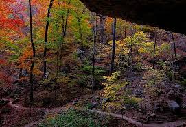 When you get to eden falls cave, if you remembered to bring a flashlight (one for each person in your party), you can climb back into the cave. Remembering Last November At Cobb Cave In Lost Valley Life And Wildlife Along The Little Buffalo River