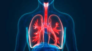 We did not find results for: Is There A Blood Test For Mesothelioma Lung Cancer Lawsuit Lawyers Pintas Mullins Law Firm