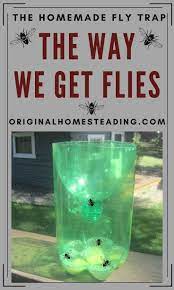 Simple Homemade Fly Trap Diy Project That Works Homemade Fly Traps Diy Fly Trap Fly Traps