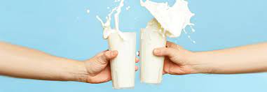 Der Effekt Von Kalzium Aus Milch Wird Uberschatzt Medical Tribune
