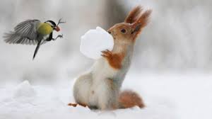 З цього дня природа починає готуватися до весни. Yakij Sogodni Den 16 Lyutogo Den Simeona Pogoda Bude Moroznoyu