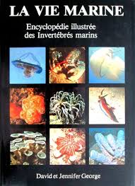 Pour un emploi, stage, master, université. Free La Vie Marine Encyclopedie Illustree Des Invertebres Marins Pdf Download Tiedemanngodfrey
