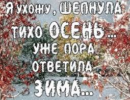 images?q=tbn:ANd9GcS6NjSGwIBID_niMm8C6-t