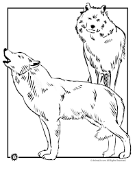 Discover our coloring pages of wolves to print and color for free. Pin On Adult Coloring Pages