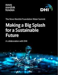 For more information on how we fund research and projects, go to our page for open competition grants. Novo Nordisk Foundation In January The Novo Nordisk Foundation Organized The Making A Big Splash For A Sustainable Future Summit In Collaboration With Dhi University Researchers And Public And Private Water