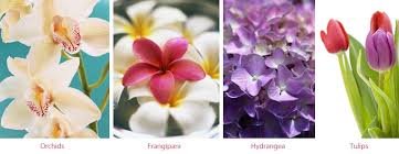 You have successfully been added to www.goodchoiceflowers.com's email list. The Ultimate Wedding Flower Guide Inmotion Flowers