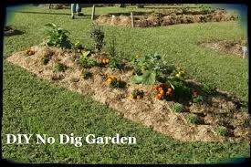 Diy No Dig Garden The Prepared Page Dig Gardens Survival Gardening Garden Planning