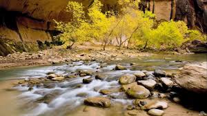 Find an inspiring nature wallpaper and download it for free in hd and 4k quality. 50 Wallpaper Collection Zip On Wallpapersafari