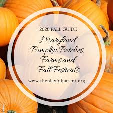 We did not find results for: Maryland Pumpkin Patches Farms And Fall Festivals 2020 Playful Parent Guide