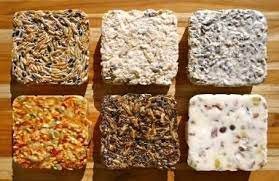Explore Nature With Edie Make Your Own Bird Food Homemade Bird Feeders Bird Food Bird Suet