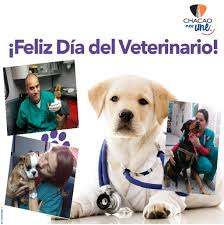 Katherine marcelain cubillos médico veterinario, phd. Atencion Ciudadano Auf Twitter Feliz Dia Del Medico Veterinario Especialmente A Nuestro Equipo De La Unidad Movil Veterinaria De Saludchacao Que Ejercen Tan Noble Labor Https T Co Lwr1aj61ex