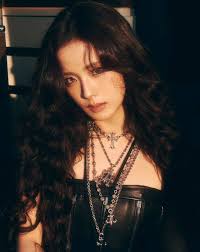 Ivy Hsieh (ivyhsieh0118)