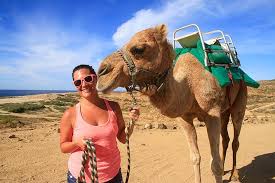Metmex baja california sur, san josé del cabo. Cabo San Lucas 1 Hour Stand Up Paddleboard Rental