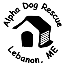 Maybe you would like to learn more about one of these? Alpha Dog Rescue Home Facebook